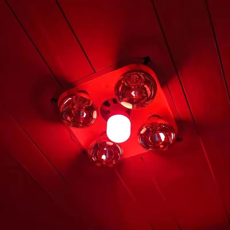 Outdoor Lighting Xmas - مصباح LED أحمر جديد عالي القدرة